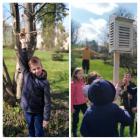 20220423_110323-COLLAGE